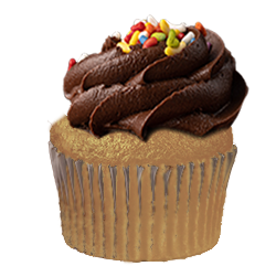 Vanilla cupcake with chocolate frosting
